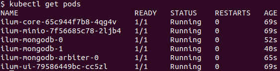 Ilum deploying into K8s cluster